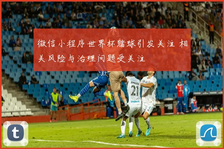 微信小程序世界杯赌球引发关注 相关风险与治理问题受关注