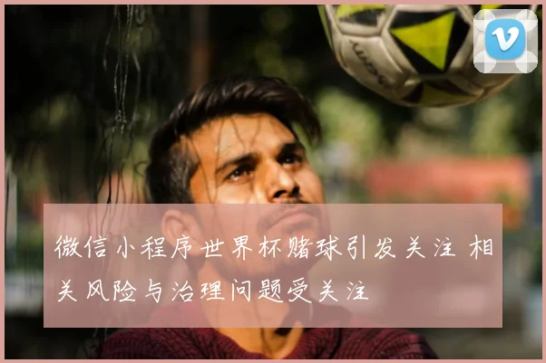 微信小程序世界杯赌球引发关注 相关风险与治理问题受关注